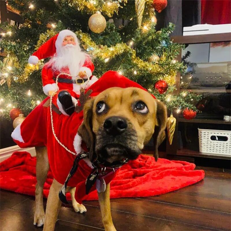 Christmas Santa Pet Costume