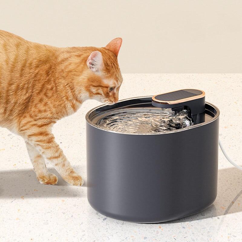 Smart Pet Water Fountain